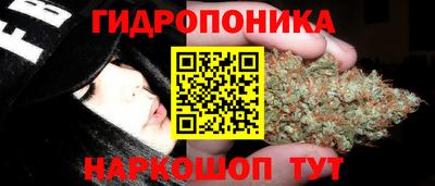 2c-b Гусев